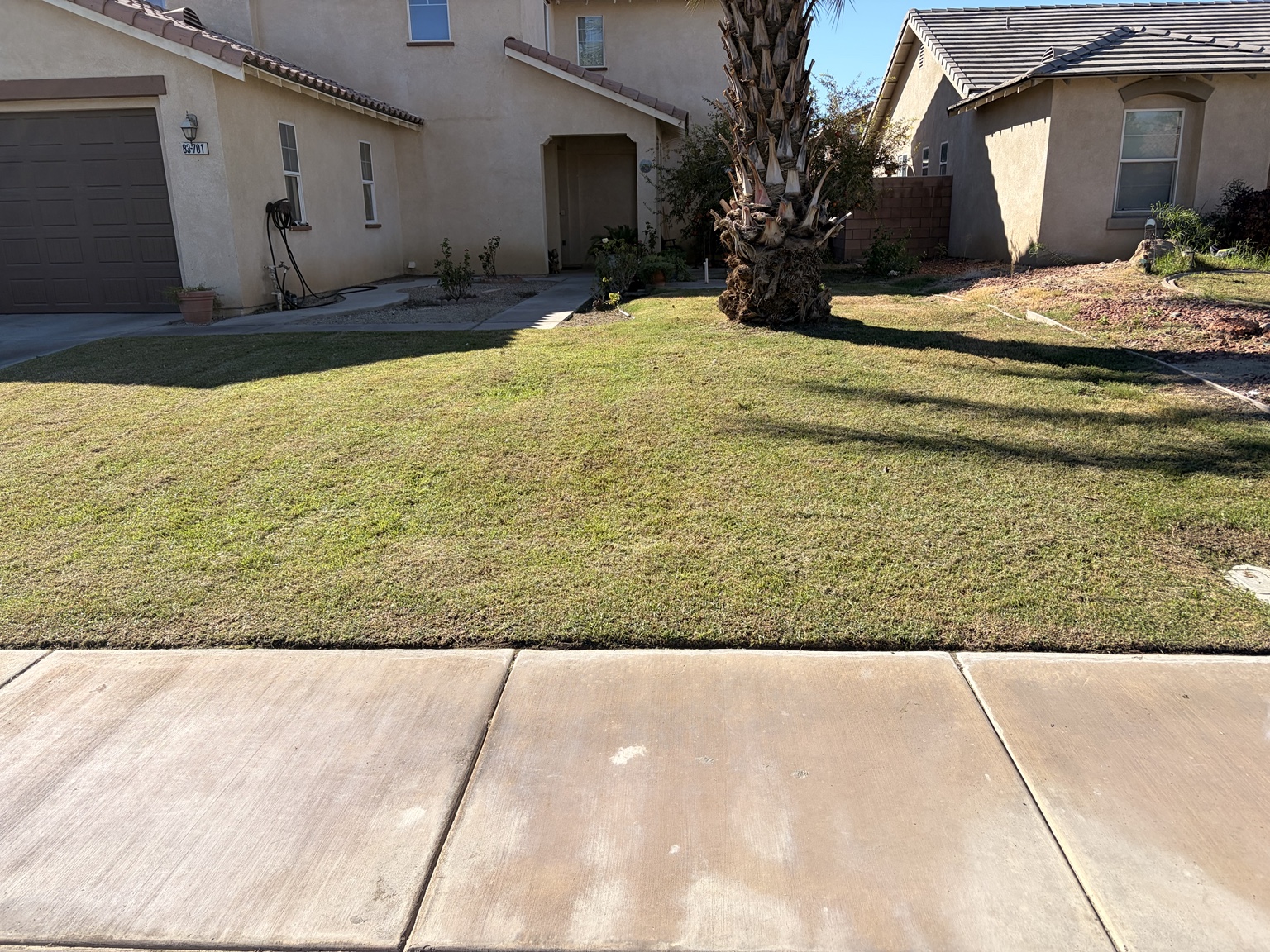 Vizcarra Landscaping landscape maintenance project 2