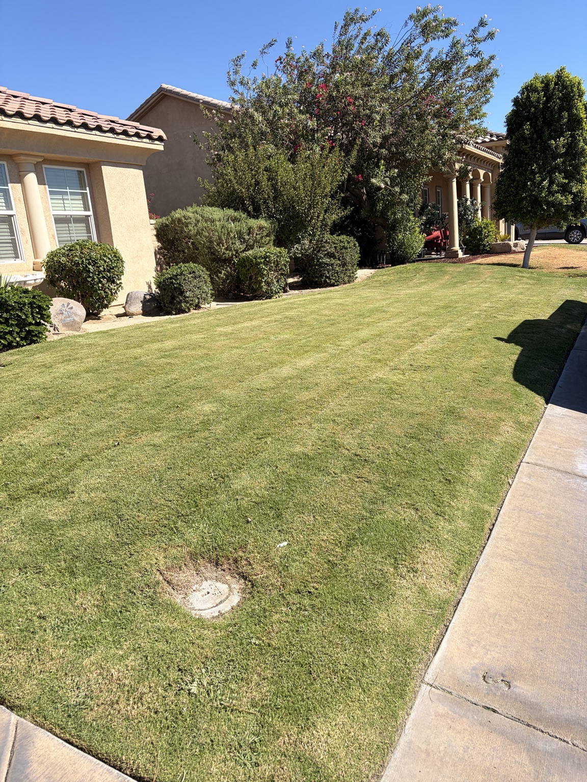 Vizcarra Landscaping landscape maintenance project 4