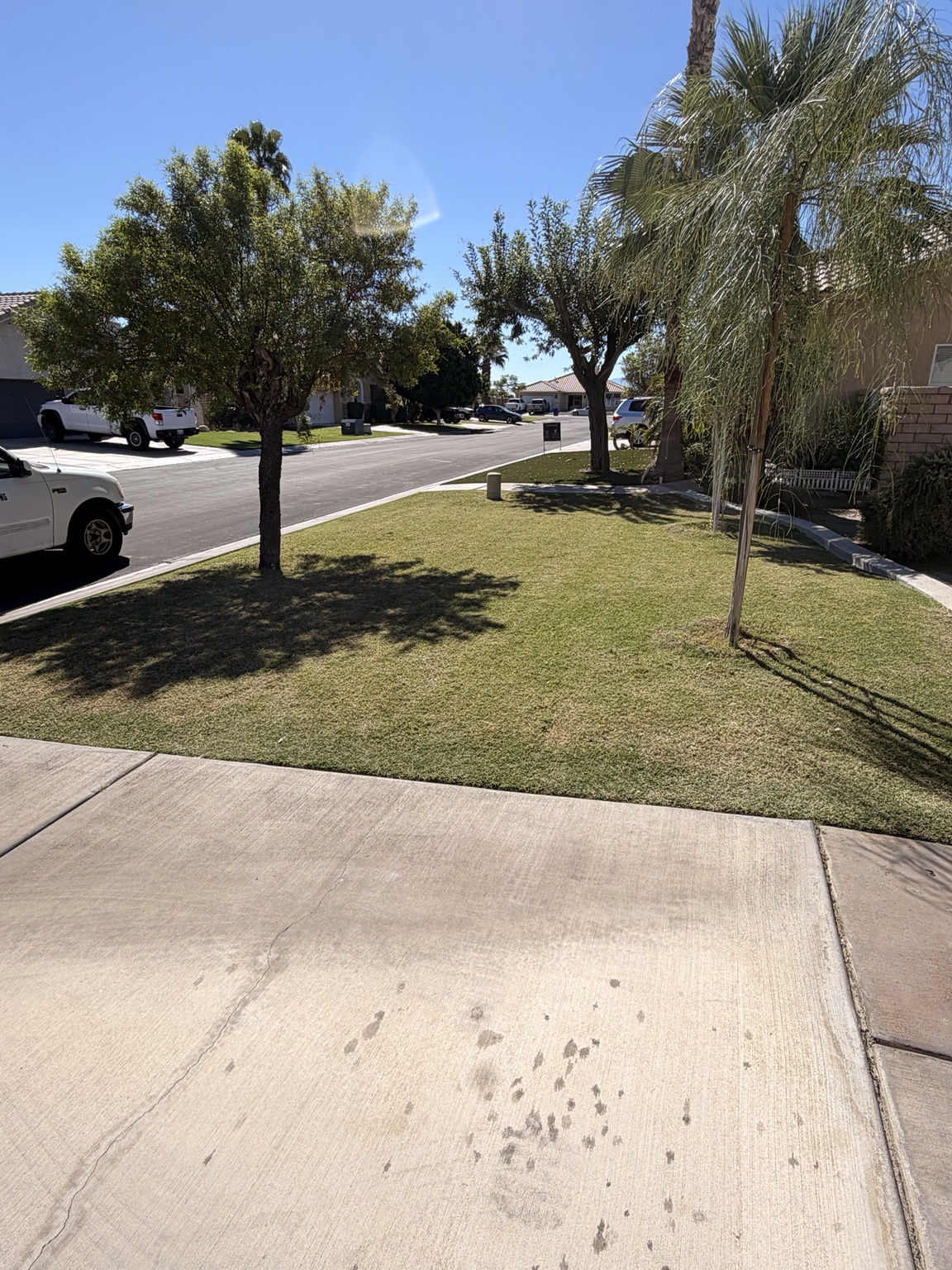 Vizcarra Landscaping landscape maintenance project 5