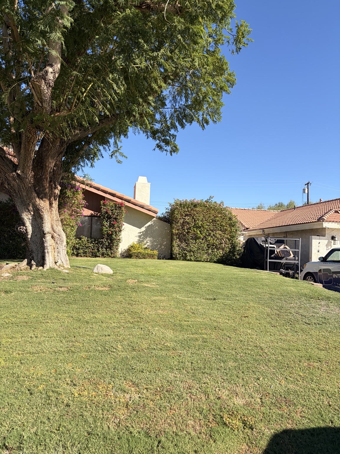 Vizcarra Landscaping landscape maintenance project 6