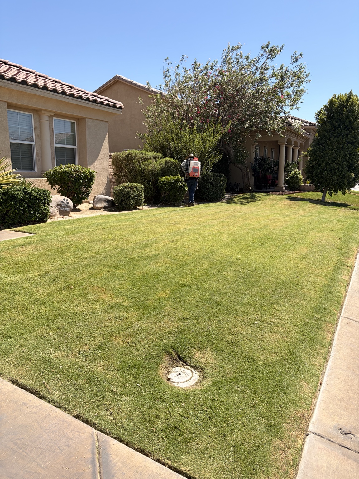 Vizcarra Landscaping landscape maintenance project 7