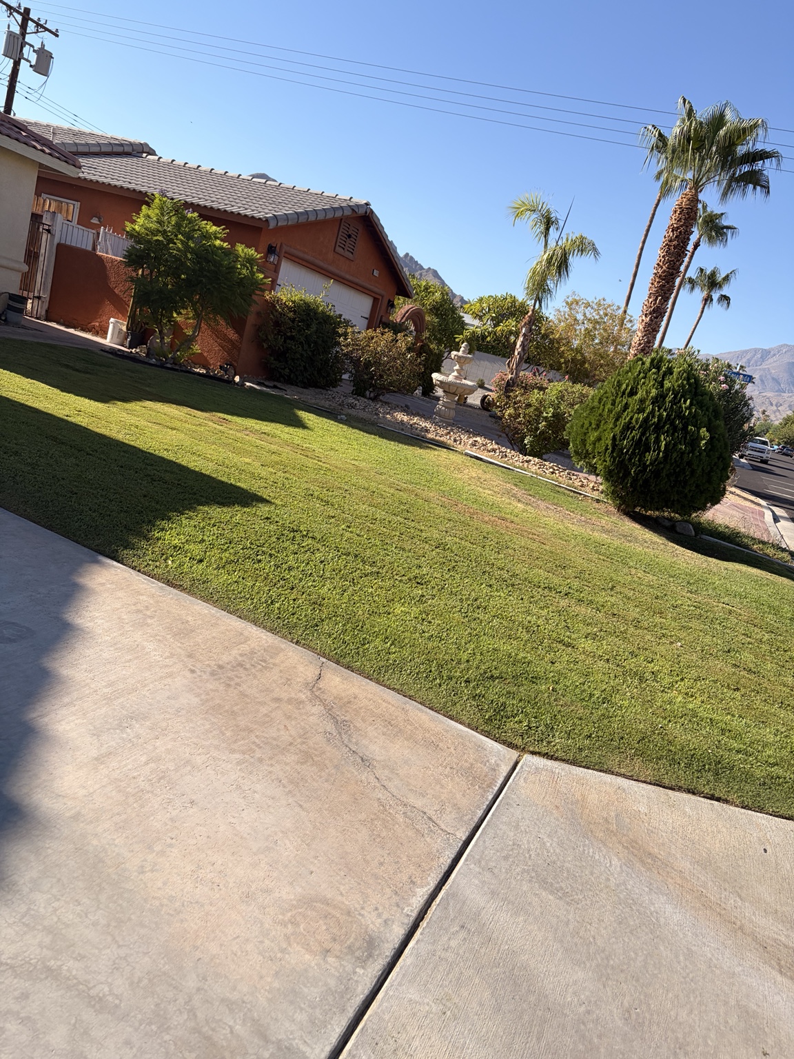 Vizcarra Landscaping landscape maintenance project 8