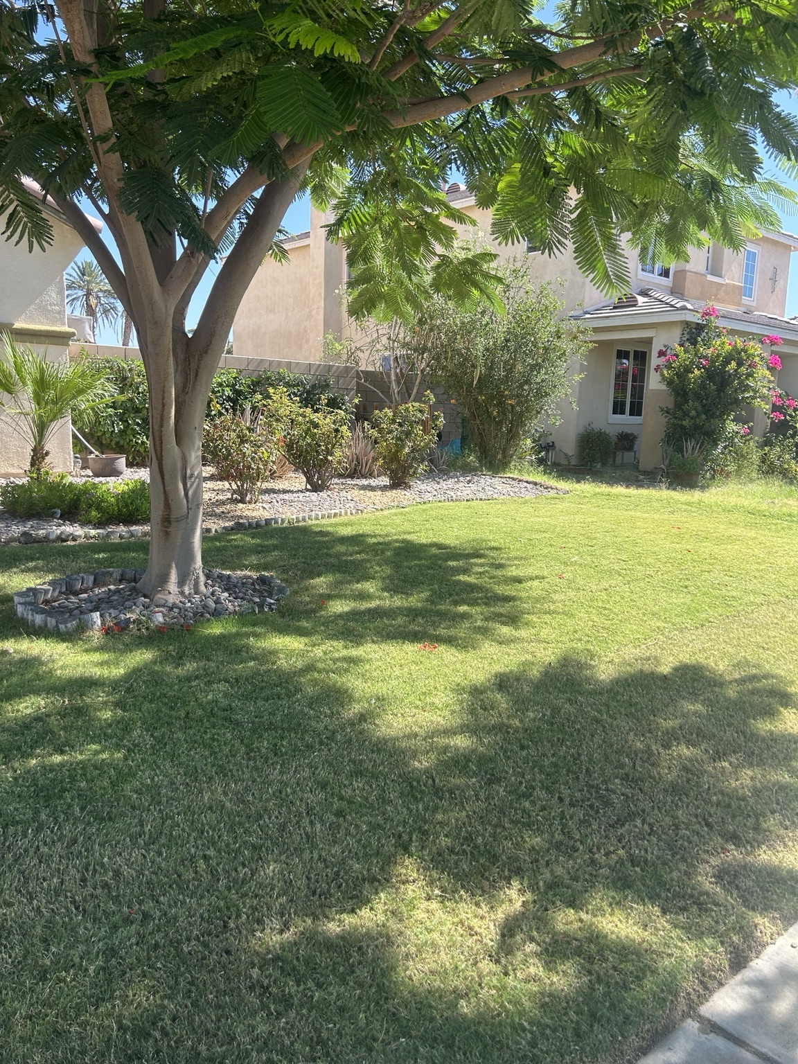 Vizcarra Landscaping landscape maintenance project 9